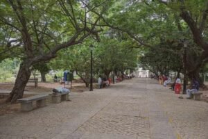 Bharathi Street, Puducherry: Location, Connectivity, Route, and FAQs