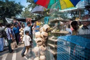 Galiff Street, Kolkata, West Bengal: Location, Connectivity, Route, and FAQs
